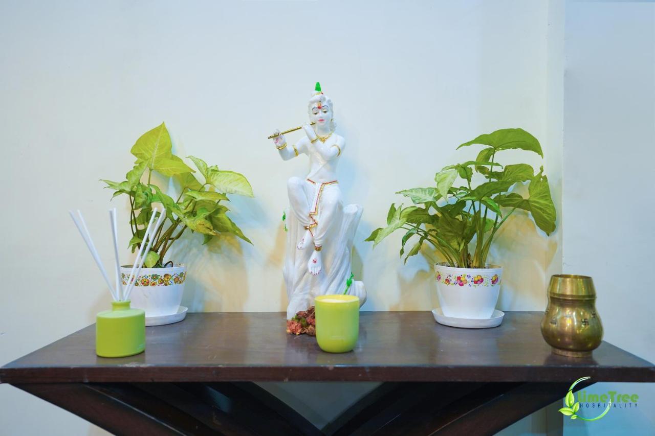 Lime Tree Hotel Near 32Nd Avenue Sector 29 Ґурґаон Екстер'єр фото